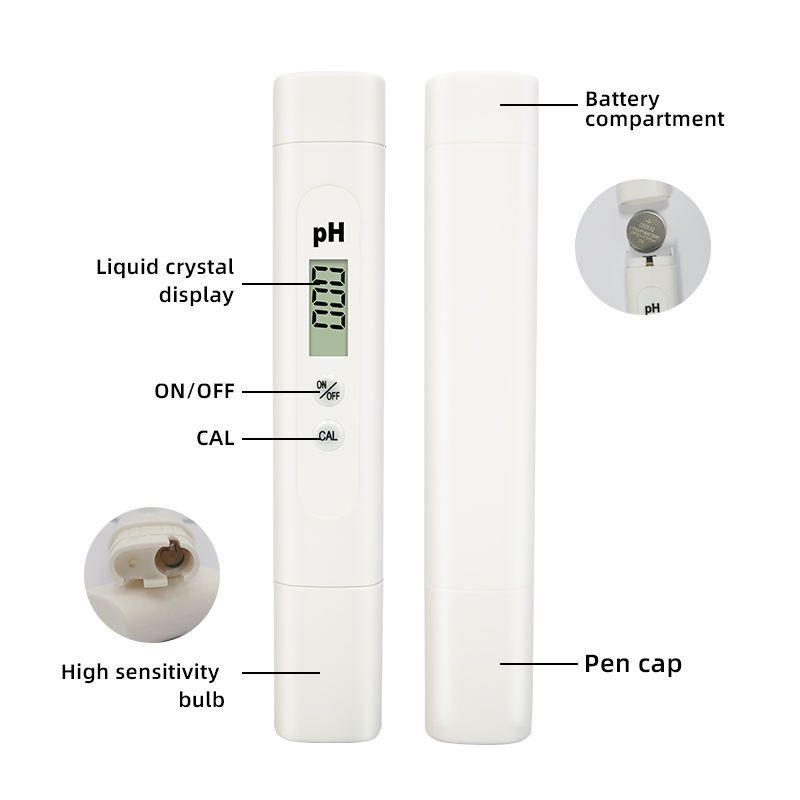 E637f7c8-d7e8-4a74-a4b2-7d7e7e0df7d0.jpg.